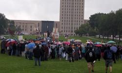 Protesters at Capitol