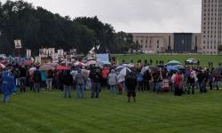 Protesters at Capitol